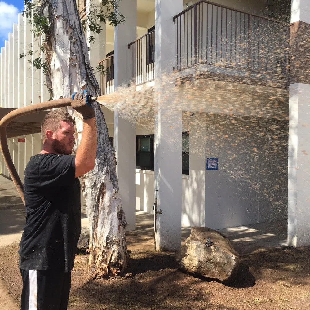 Trusted outdoor landscaping in Honolulu, HI - Island Hydroseed