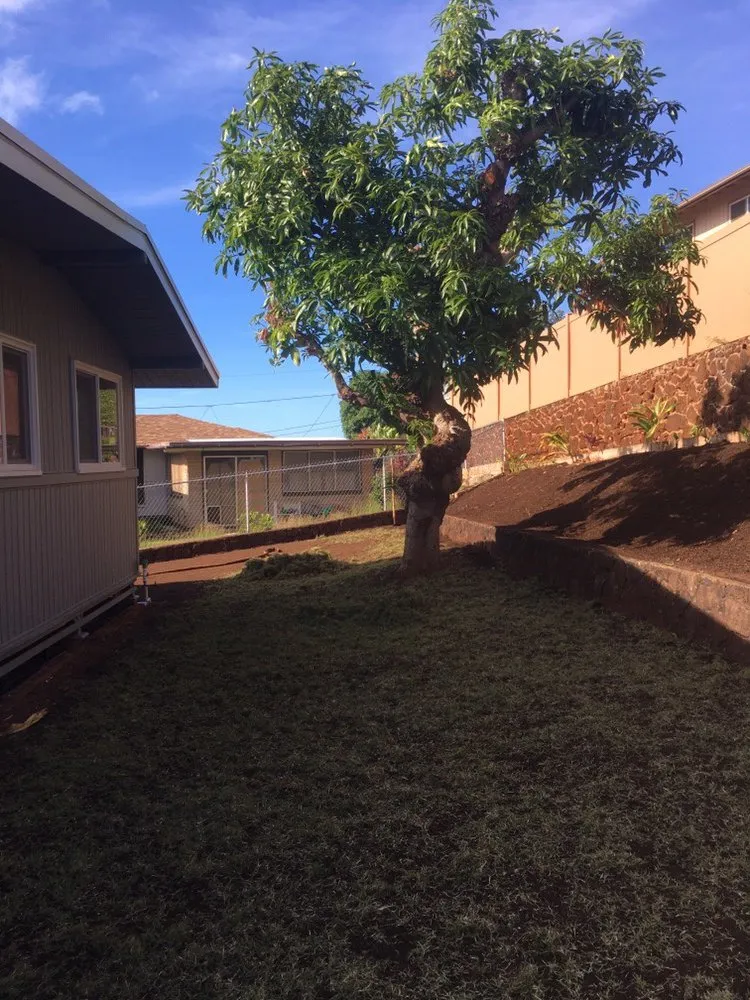 Expert lawn care service for year-round maintenance across Honolulu, HI - Island Hydroseed