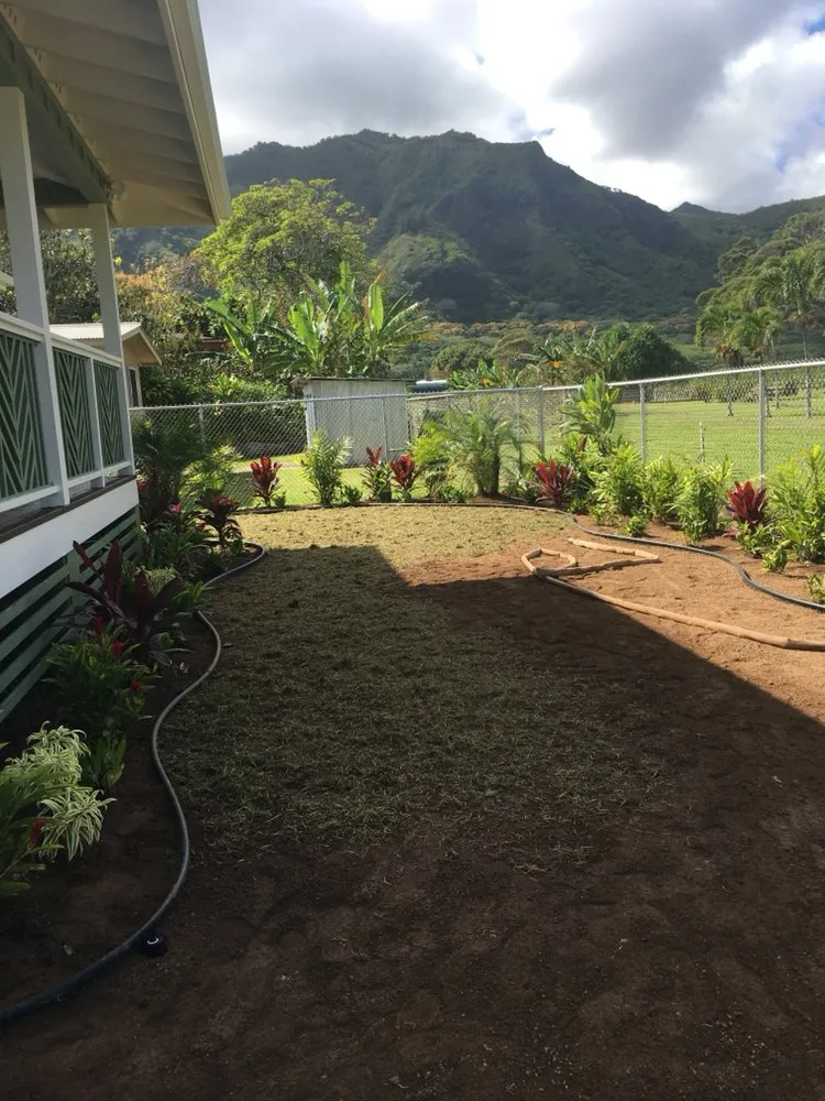 Local landscape installation in Honolulu, HI by Island Hydroseed