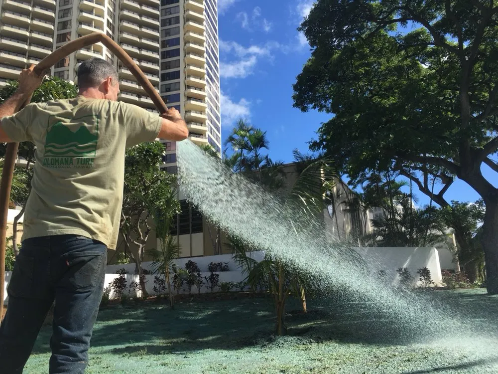 Custom residential landscaping in Honolulu, HI - Island Hydroseed
