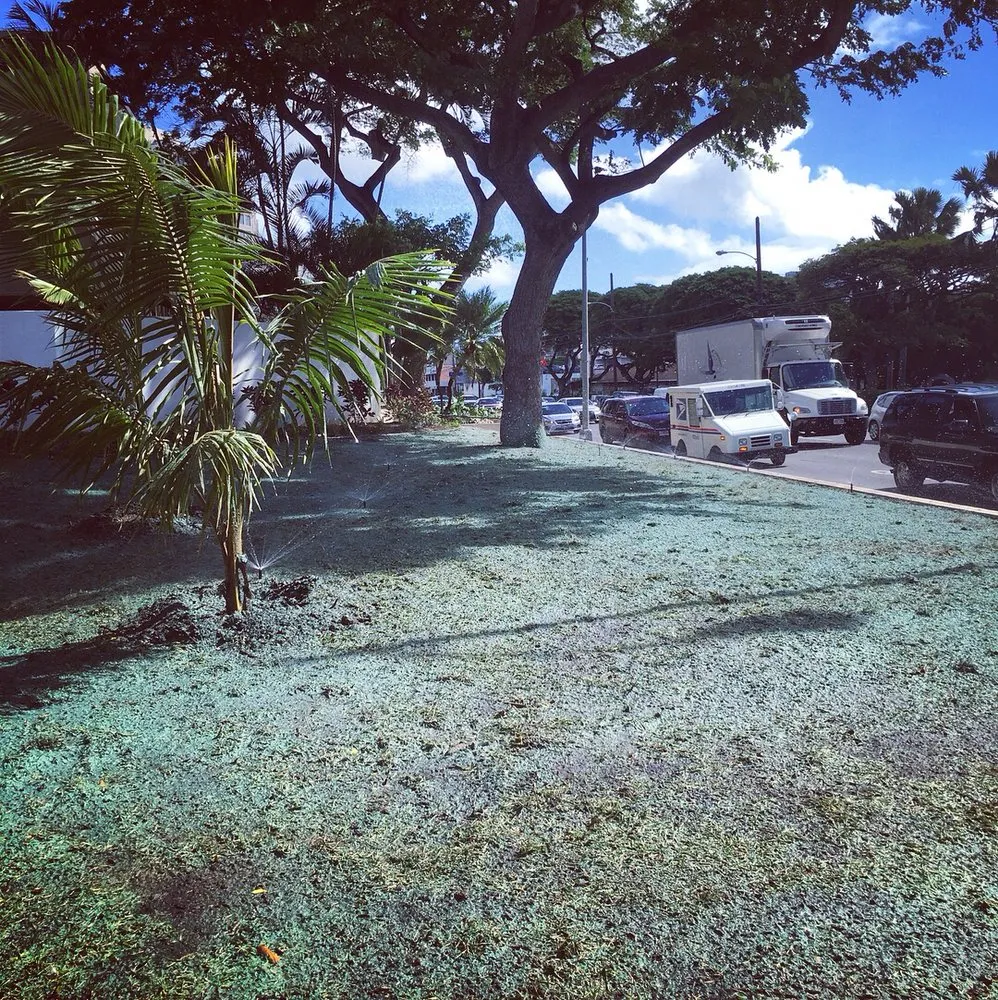 Trusted lawn care service near you in Honolulu, HI by Island Hydroseed
