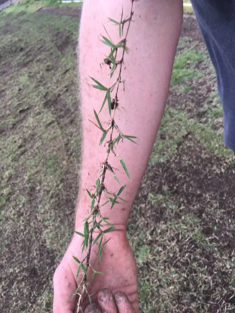 Custom landscaping services experts serving Honolulu, HI - Island Hydroseed