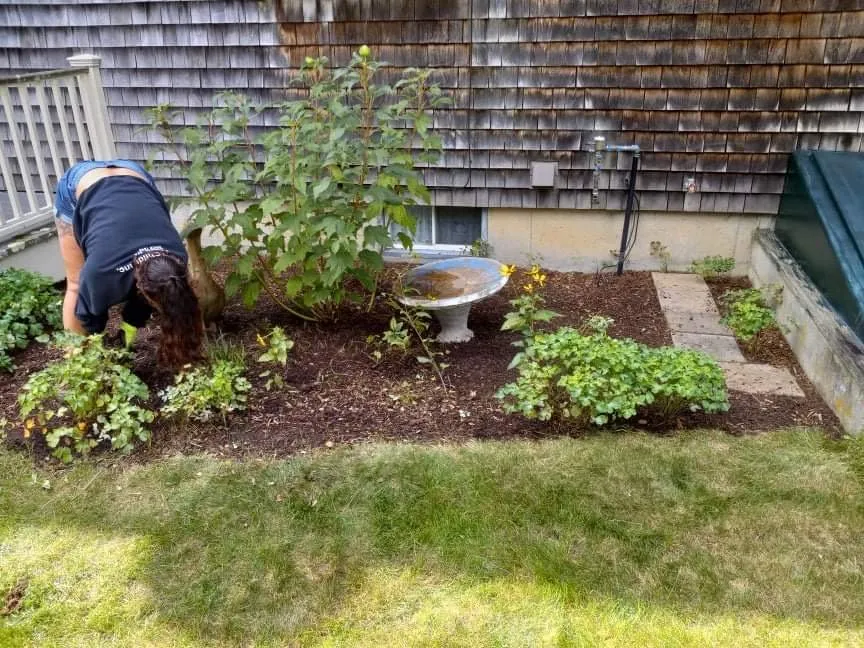 Professional residential landscaping in Pocasset, MA by Island Landscape & Homecare