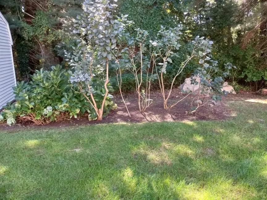 Top-rated landscaping services near you in Pocasset, MA by Island Landscape & Homecare