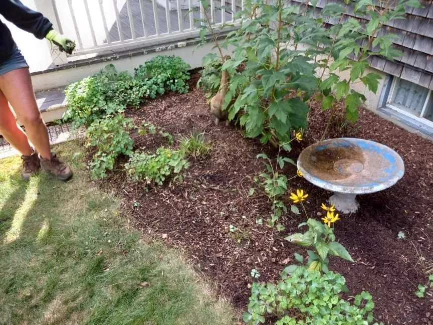 Trusted landscaping services experts serving Pocasset, MA - Island Landscape & Homecare