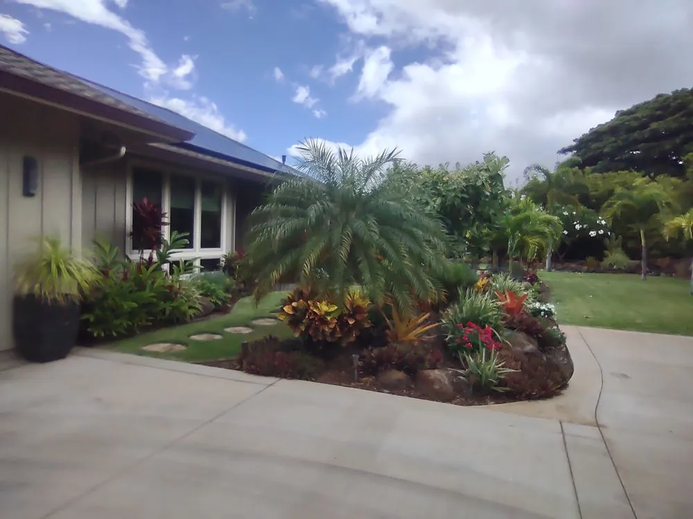 Expert lawn care service for homes across Makawao, HI - Island Landscape