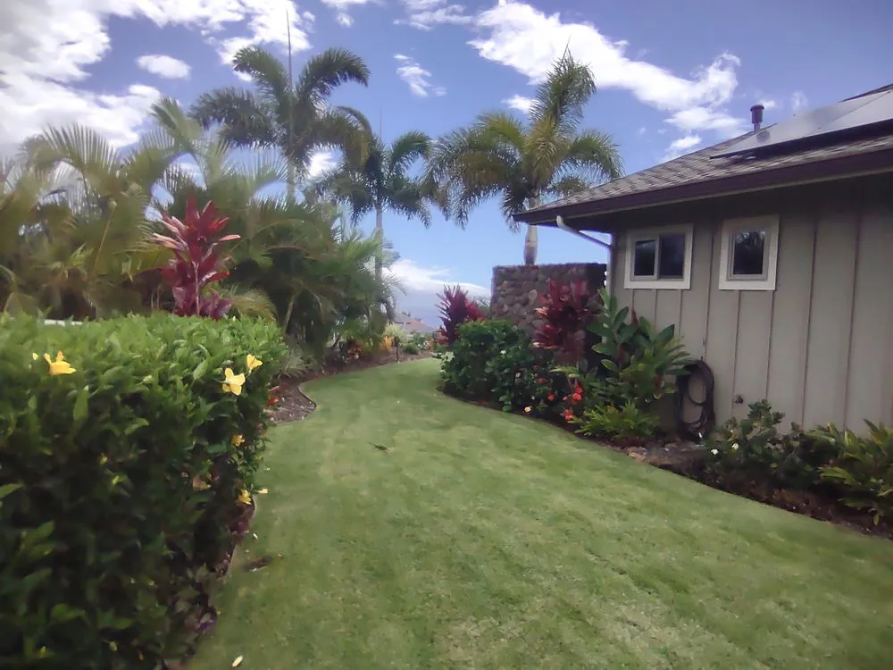 Custom yard maintenance for year-round maintenance in Makawao, HI by Island Landscape