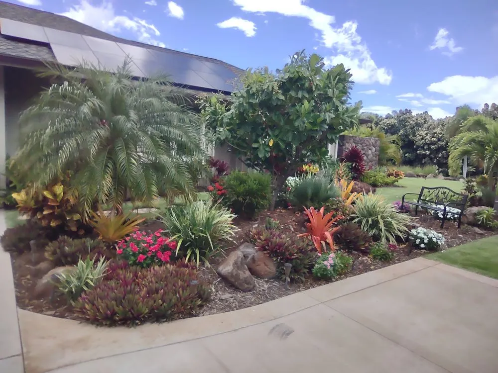 Local landscaping services for outdoor upgrades across Makawao, HI - Island Landscape