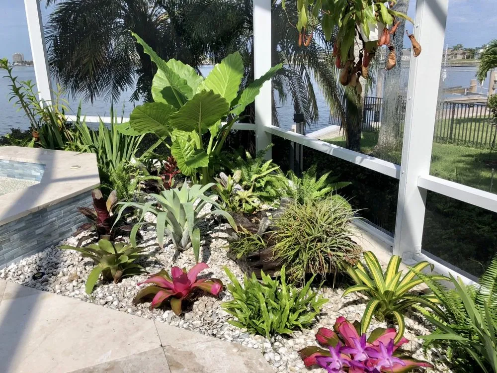 Top-rated yard cleanup service in Marco Island, FL by Island Landscape Services