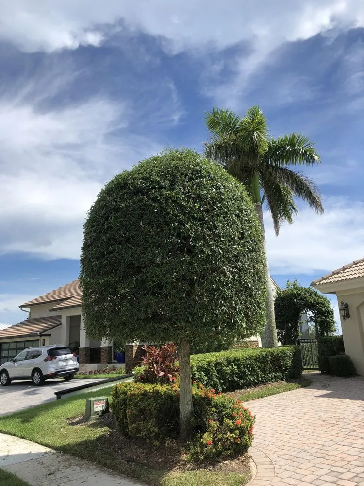 Trusted yard maintenance in Marco Island, FL - Island Landscape Services