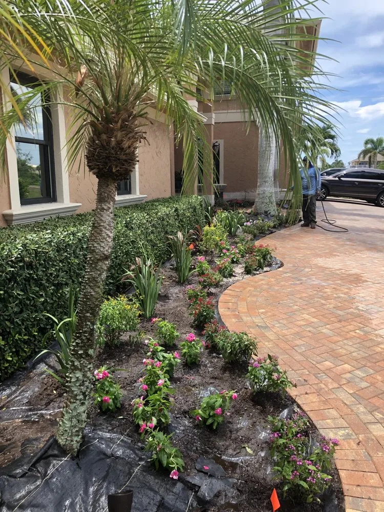 Professional yard cleanup service in Marco Island, FL - Island Landscape Services