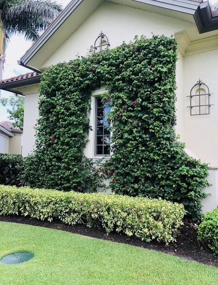 Trusted landscape installation experts serving Marco Island, FL - Island Landscape Services