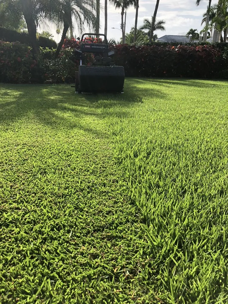 Affordable landscaping services with custom design across Marco Island, FL - Island Landscape Services