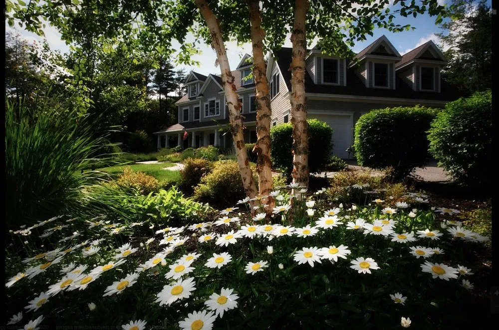 Top-rated landscaping services for beautiful yards in Charleston, SC by Island Landscaping and Lawn Service