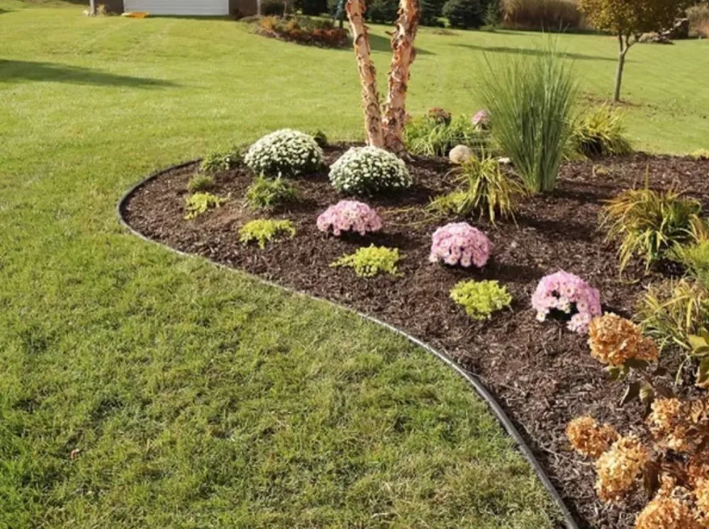 Professional residential landscaping in Charleston, SC - Island Landscaping and Lawn Service