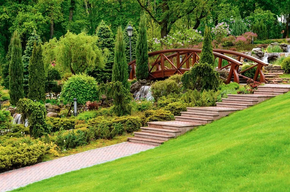 Professional lawn mowing service for outdoor upgrades in Charleston, SC by Island Landscaping and Lawn Service