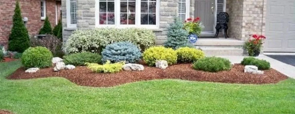 Expert lawn care service in Charleston, SC - Island Landscaping and Lawn Service