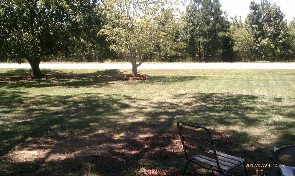 Custom landscape installation for year-round maintenance in Fairburn, GA by island Lawn Care & Pressure Washing, LLC