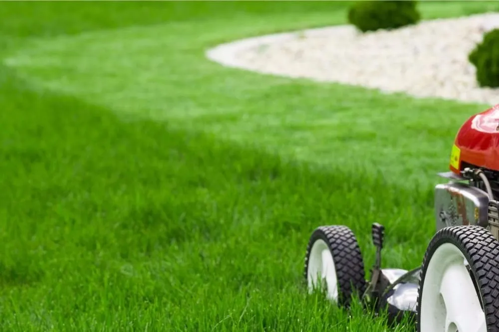 Custom landscaping services for outdoor upgrades in Dunwoody, GA by Island Lawn Care