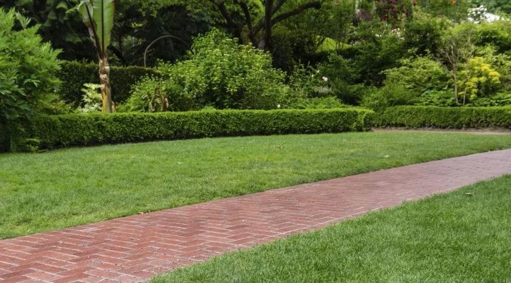 Affordable lawn mowing service experts serving Dunwoody, GA - Island Lawn Care