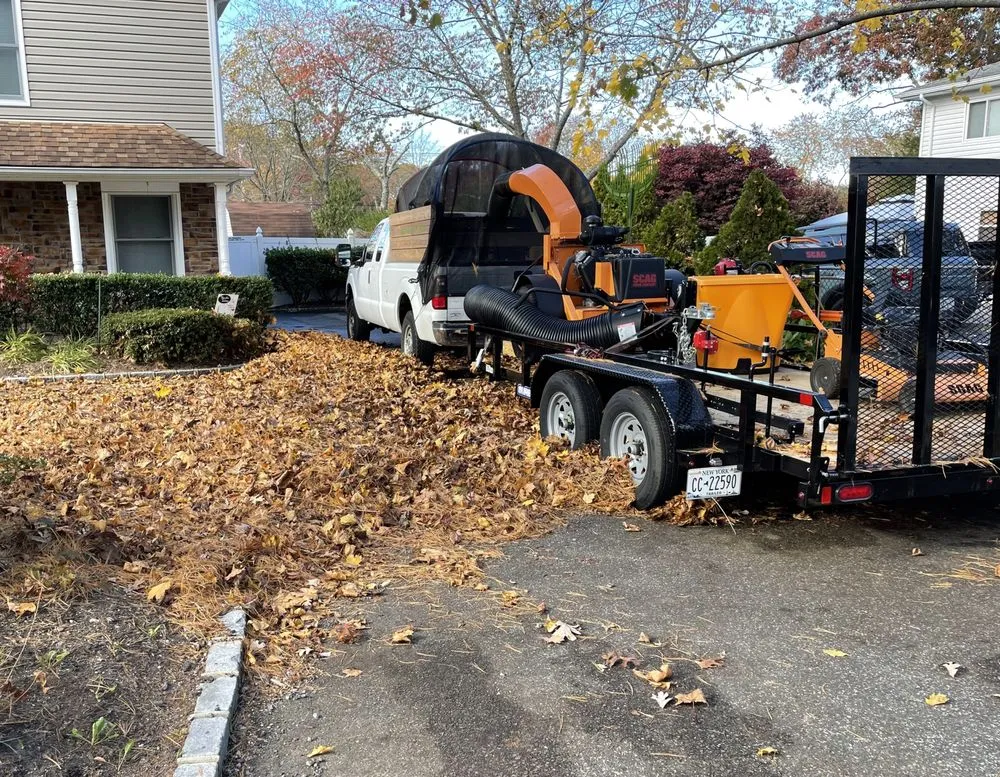 Trusted yard cleanup service in Mount Sinai, NY - Island Lawn Care