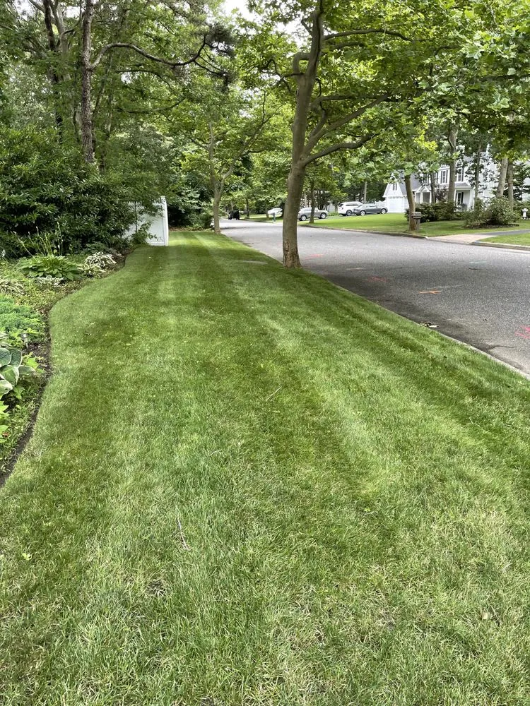 Trusted yard cleanup service in Mount Sinai, NY - Island Lawn Care