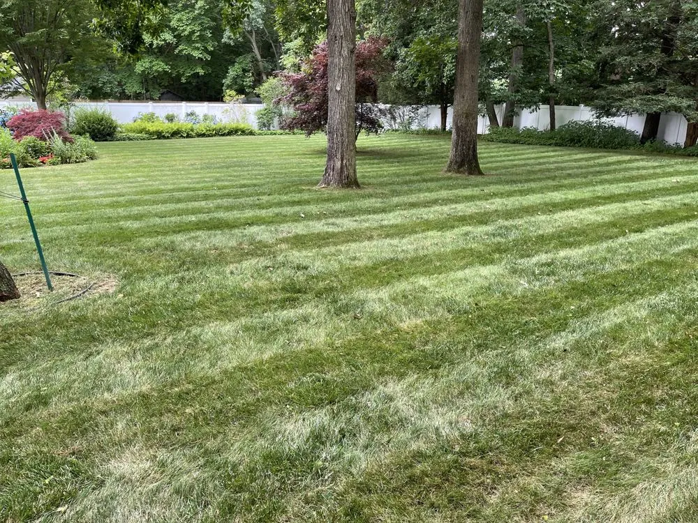 Expert landscape design experts serving Mount Sinai, NY - Island Lawn Care