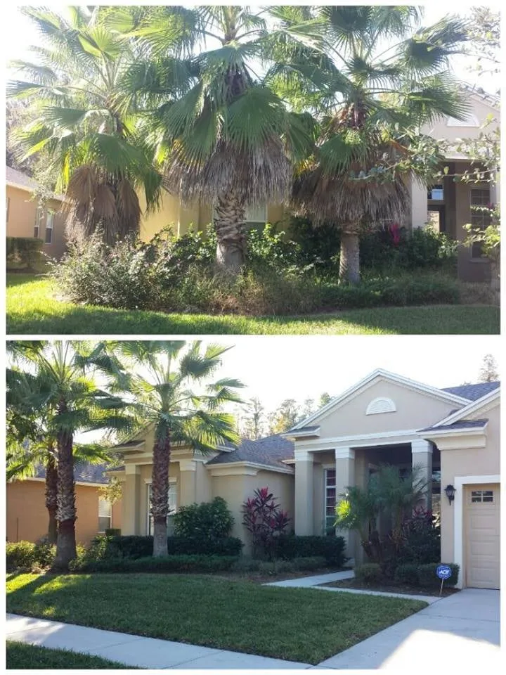 Trusted yard maintenance in Fleming Island, FL - Island Lawn Pros