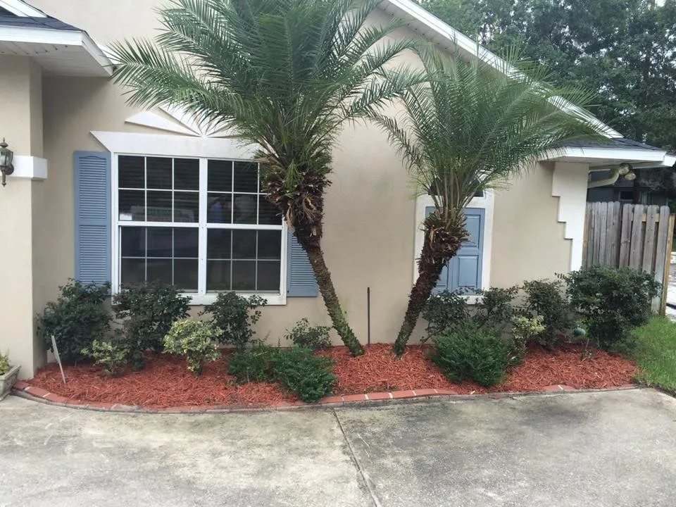 Top-rated yard maintenance for homes in Fleming Island, FL by Island Lawn Pros