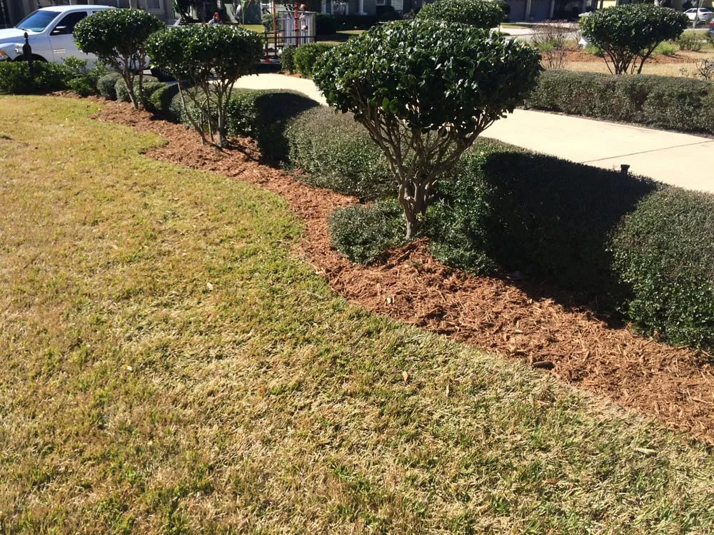 Top-rated landscape design for year-round maintenance across Fleming Island, FL - Island Lawn Pros