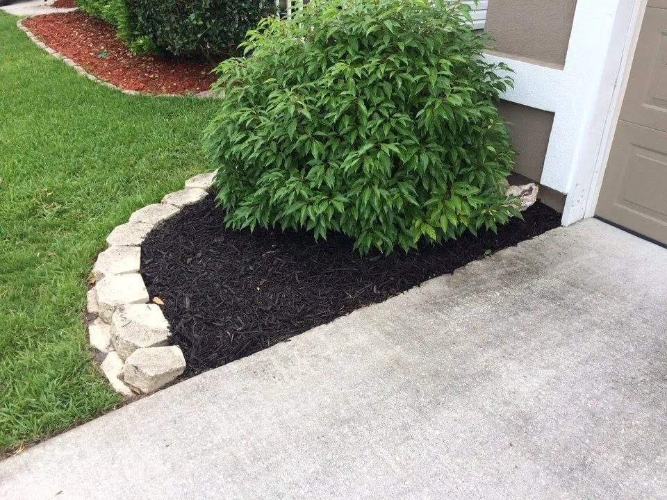 Top-rated outdoor landscaping for beautiful yards across Fleming Island, FL - Island Lawn Pros