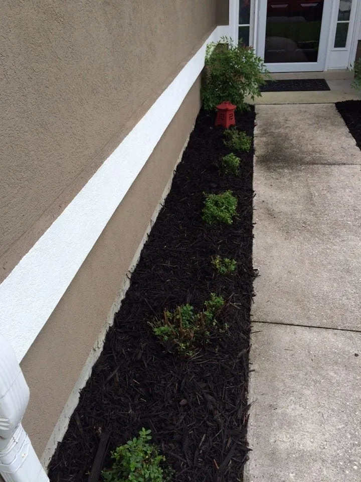 Affordable residential landscaping experts serving Fleming Island, FL - Island Lawn Pros