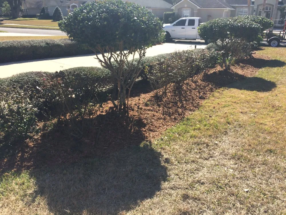 Professional outdoor landscaping for outdoor upgrades in Fleming Island, FL by Island Lawn Pros