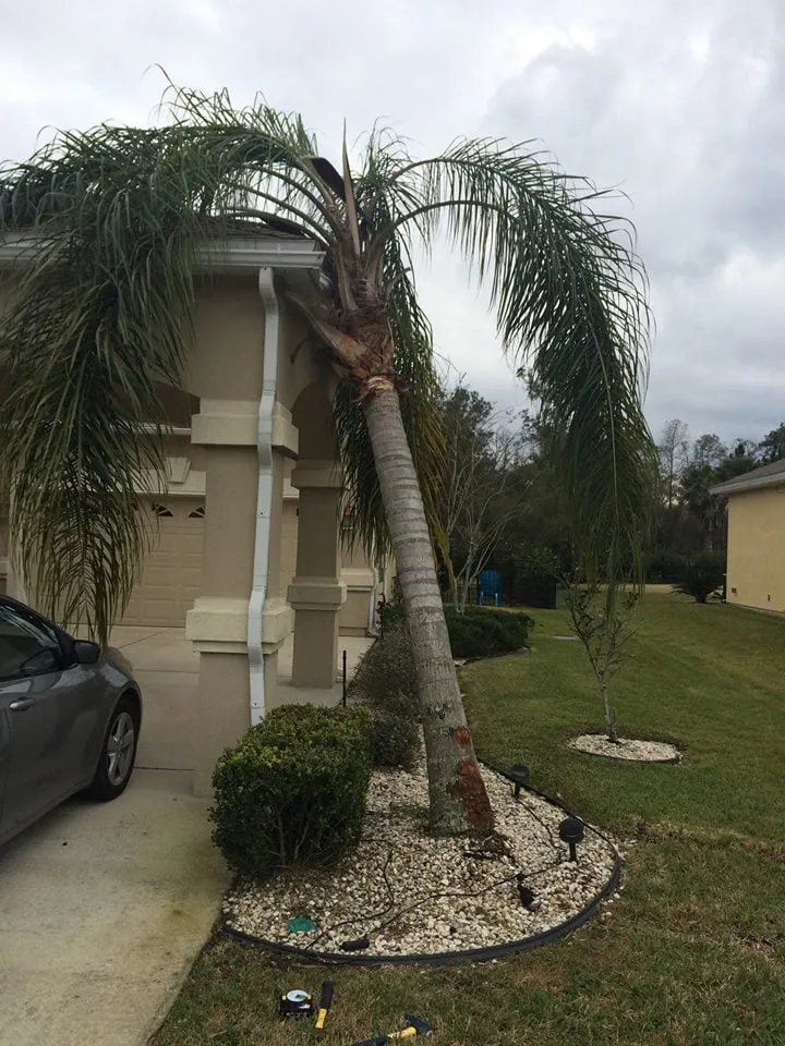 Affordable lawn care service in Fleming Island, FL - Island Lawn Pros