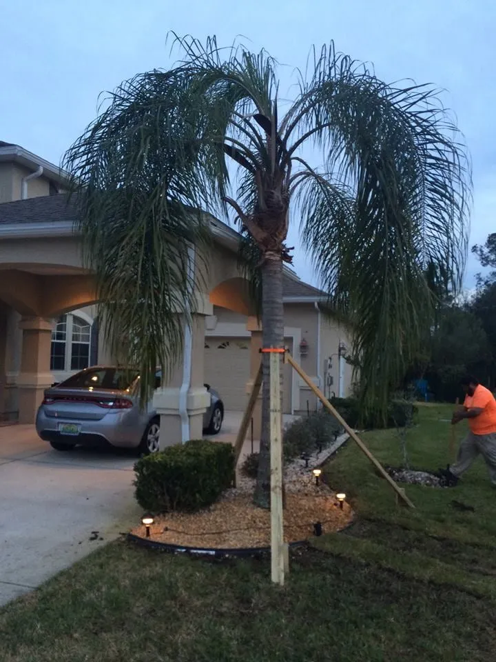 Custom lawn mowing service in Fleming Island, FL by Island Lawn Pros