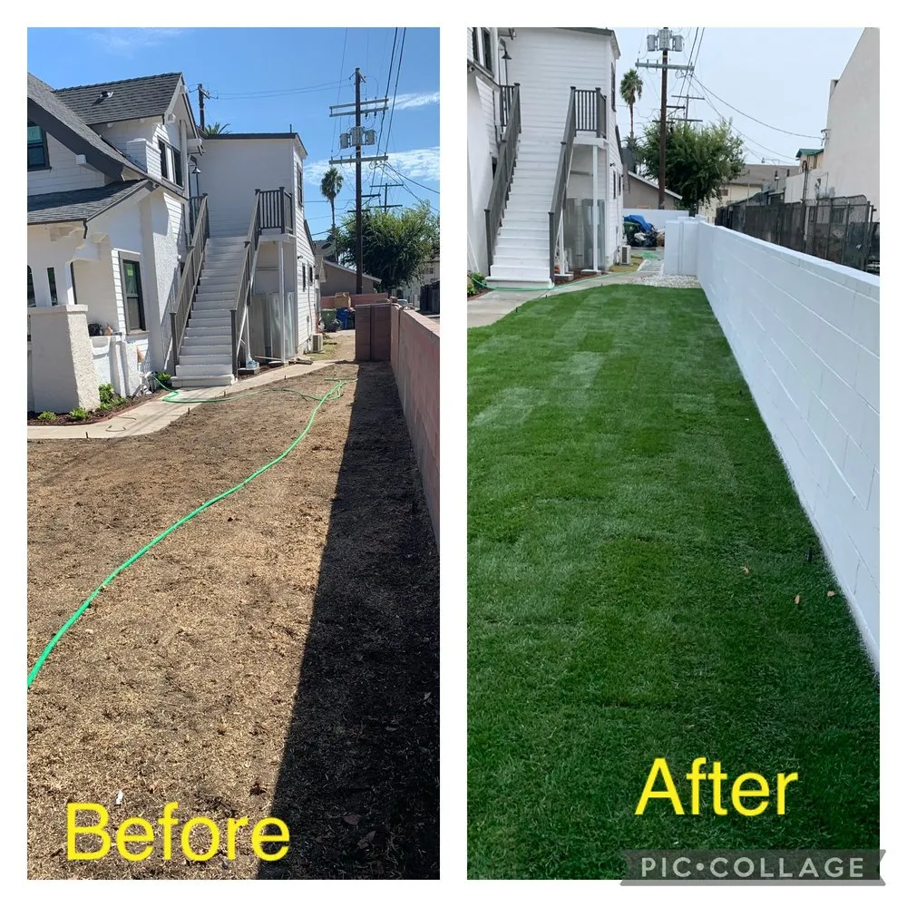 Trusted garden landscaping in Los Angeles, CA - Island Masonry and Landscaping Construction