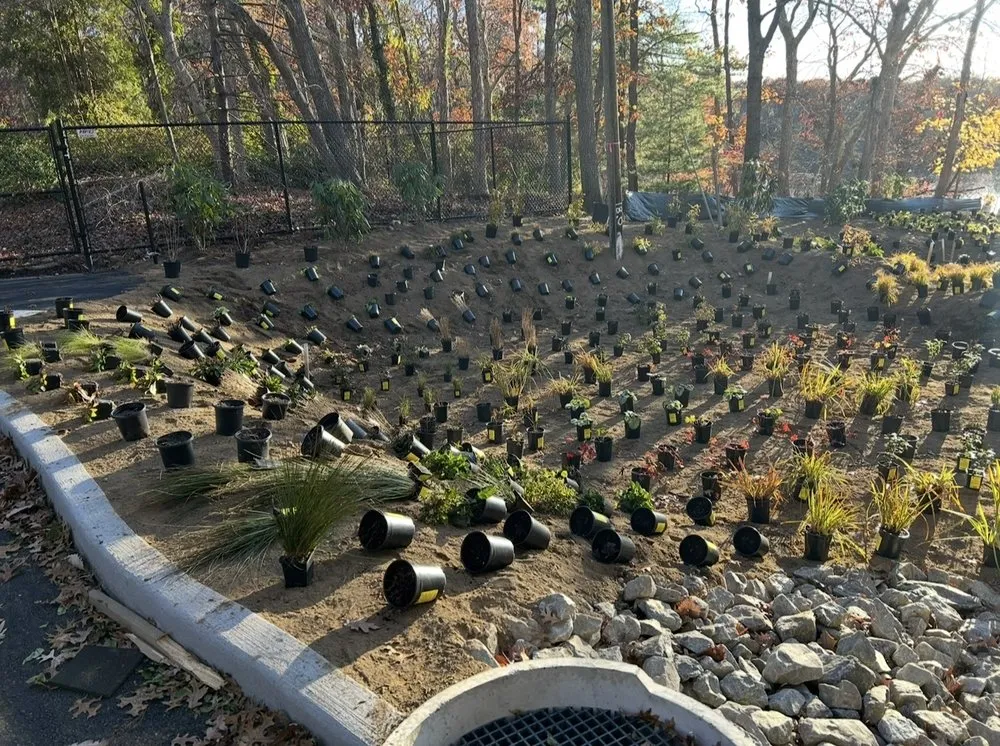 Trusted lawn care service experts serving Lindenhurst, NY - Island Oak Design