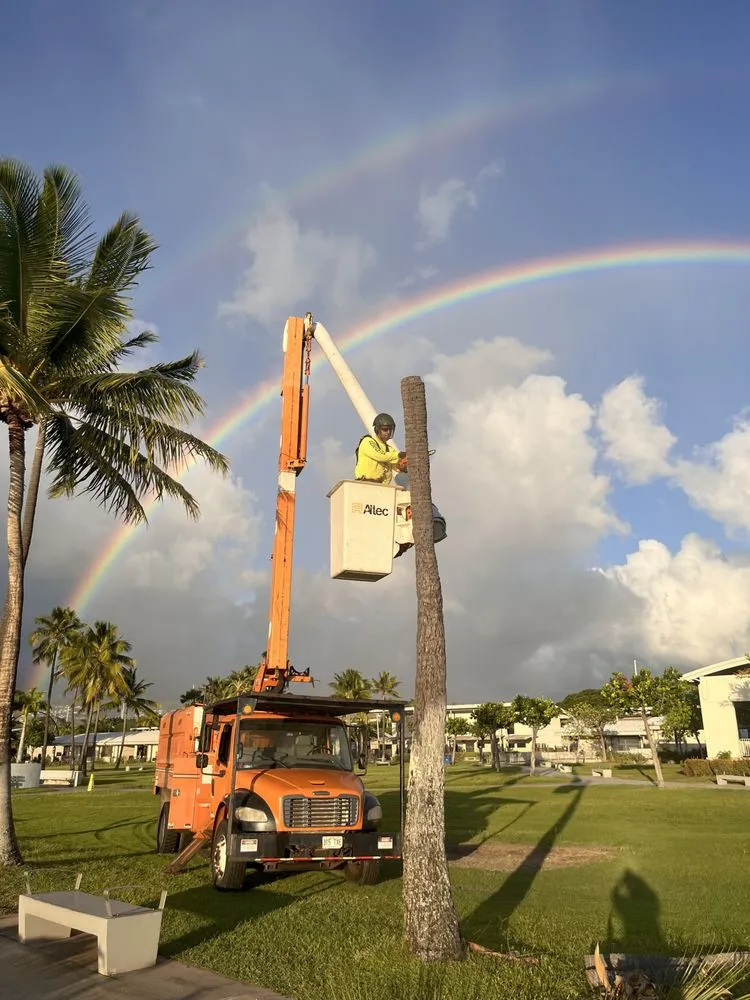 Professional residential landscaping in Ewa Beach, HI - Island Ohana Tree & Landscaping Services