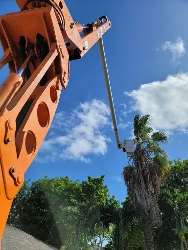 Professional yard maintenance with custom design in Ewa Beach, HI by Island Ohana Tree & Landscaping Services