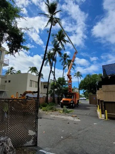 Professional garden landscaping with custom design in Ewa Beach, HI by Island Ohana Tree & Landscaping Services