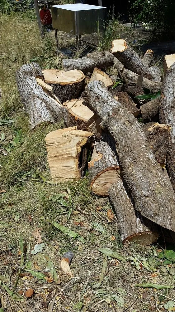 Local garden landscaping for outdoor upgrades in Ewa Beach, HI by Island Ohana Tree & Landscaping Services