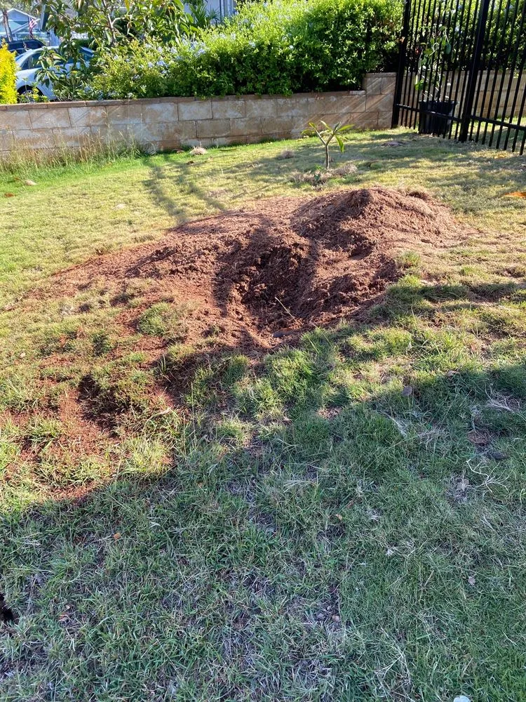 Local lawn mowing service for beautiful yards in Ewa Beach, HI by Island Ohana Tree & Landscaping Services