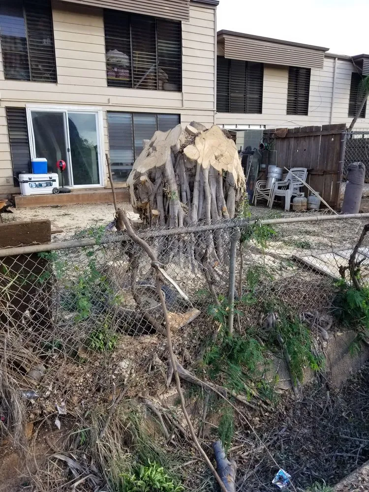 Expert landscaping services experts serving Ewa Beach, HI - Island Ohana Tree & Landscaping Services