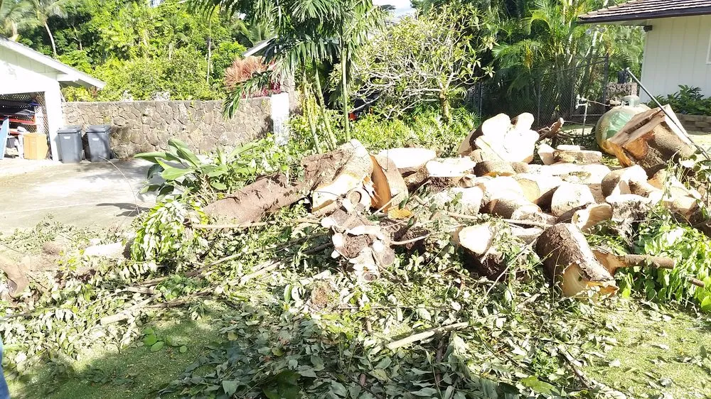 Affordable residential landscaping for beautiful yards across Ewa Beach, HI - Island Ohana Tree & Landscaping Services