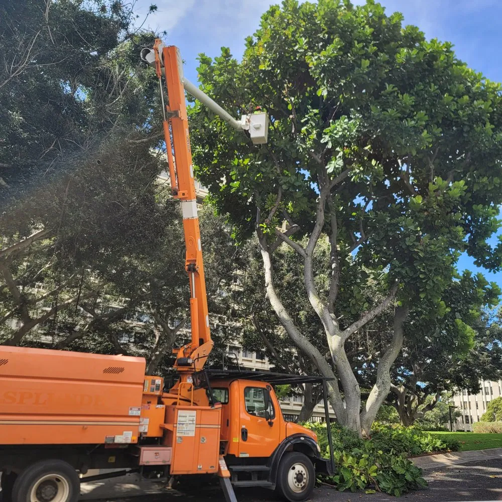 Trusted lawn mowing service for beautiful yards in Ewa Beach, HI by Island Ohana Tree & Landscaping Services