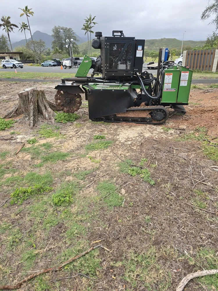 Trusted lawn mowing service in Ewa Beach, HI by Island Ohana Tree & Landscaping Services