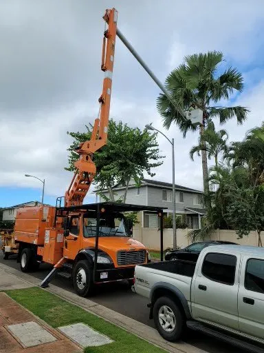 Trusted yard maintenance in Ewa Beach, HI by Island Ohana Tree & Landscaping Services