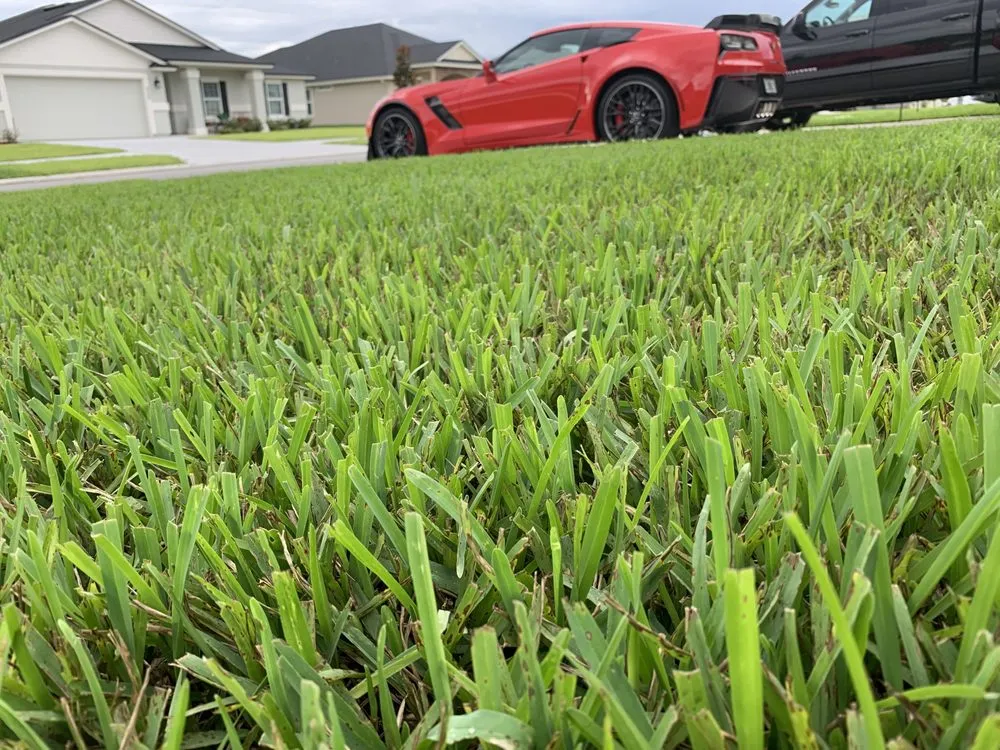 Top-rated landscape installation in Green Cove Springs, FL - Island Outdoor