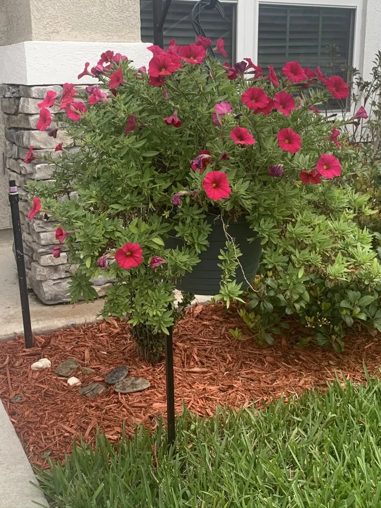 Trusted landscape design in Green Cove Springs, FL by Island Outdoor