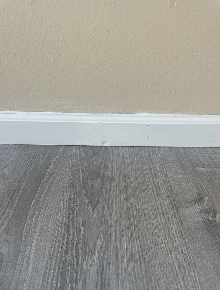 Affordable outdoor landscaping in Haleiwa, HI - Island Palms Hawaii